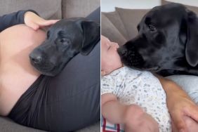 Mom Fears Dog & Baby Won’t Get Along Until a Plot Twist Takes Her by Surprise