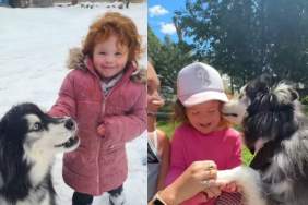 After Dog Moves Away, Little Girl Proves She Never Forgot Him Upon Sweet Reunion