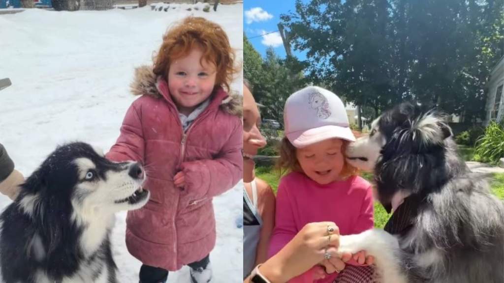 After Dog Moves Away, Little Girl Proves She Never Forgot Him Upon Sweet Reunion