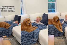 Golden Retriever Has Toddler & Mom Fighting Over Her Undivided Attention