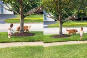 Golden Retriever & Little Girl Look Like They Were Born To Be Best Friends