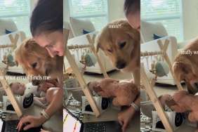 Mom Finds 'Two Needy Coworkers' in Golden Retriever & Baby