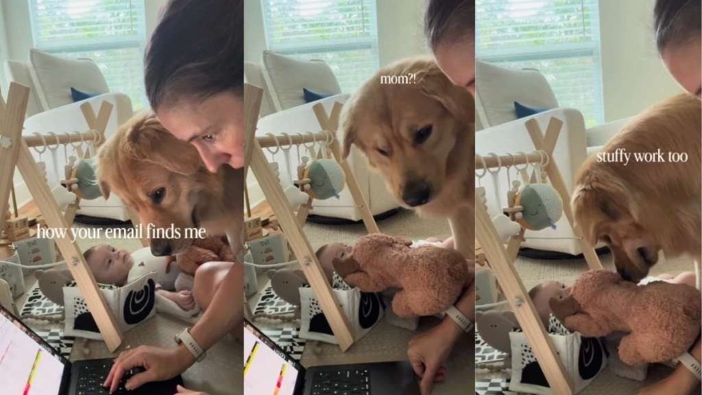 Mom Finds 'Two Needy Coworkers' in Golden Retriever & Baby