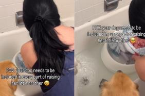 Golden Retriever Wants a Front-Row Seat to Every Part of Raising Baby Brother