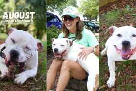Rescue Dog Becomes ‘Dog of the Month,’ Then Lands the Role He Really Wanted
