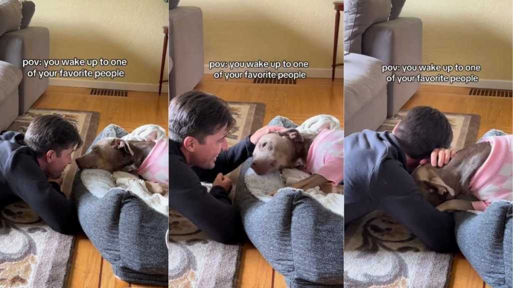 Dog Wakes Up to Her Favorite Person & Goes From Sleepy to Overjoyed in Seconds