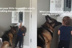 Dog & Toddler Stand Next to the Fuse Box, Then Realize Neither Knows What Comes Next