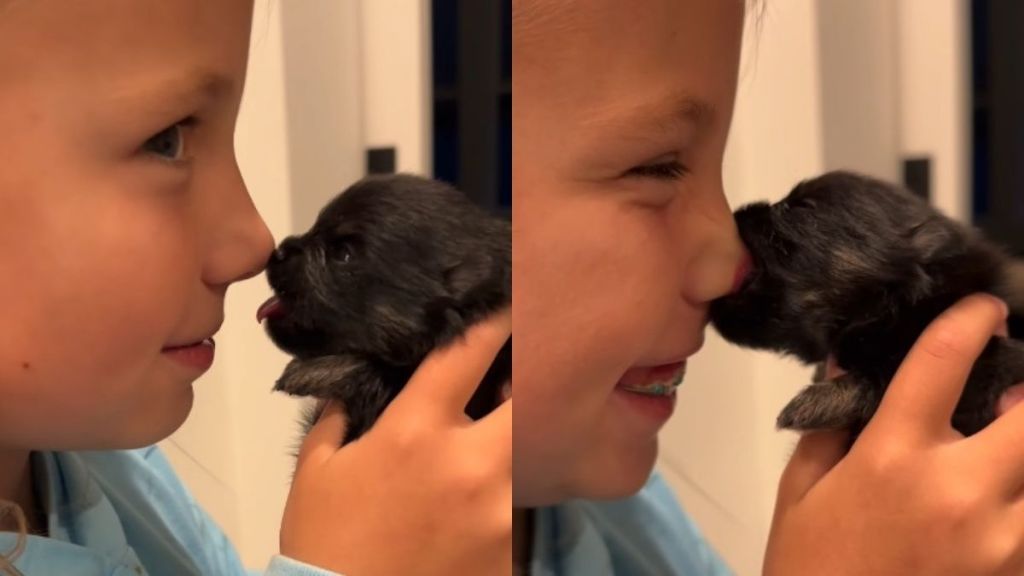 Tiny Newborn Puppy Has Little Girl Giggling With a Trick That’s Too Cute & Priceless