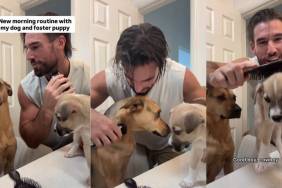 Rescue Dog Happily Welcomes Foster Puppy Into Dad’s Morning Routine
