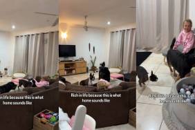 Little Girl’s Giggles During Playtime With Dogs Fills up the Entire Room