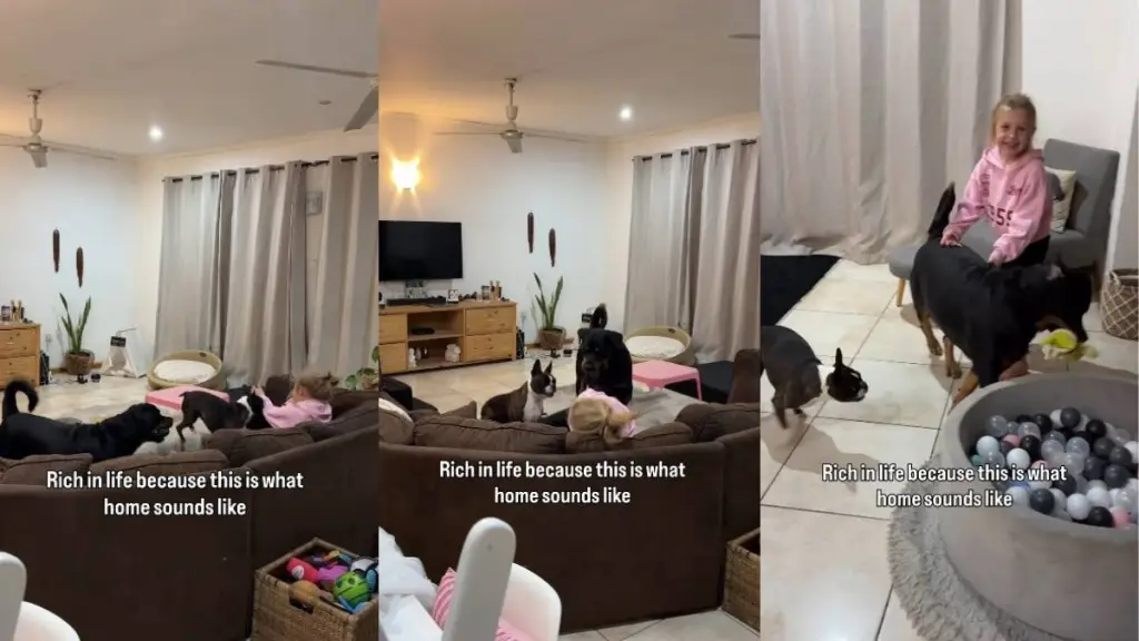 Little Girl’s Giggles During Playtime With Dogs Fills up the Entire Room