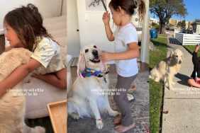 Little Girl’s Bond With First Dog Becomes a Love Story To Cherish, One Precious Memory at a Time