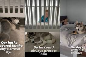Dog’s Sweet Tradition With Baby Brother Began Even Before His Birth & Stood the Test of Time
