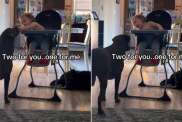 Toddler Always Saves a Bite for His Dog & It's the Sweetest Routine