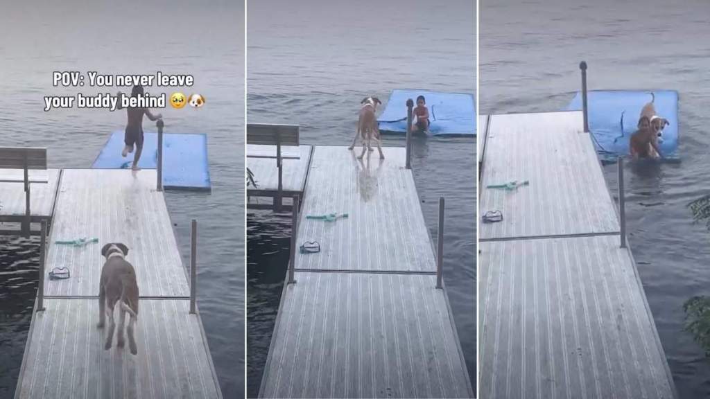 Boy Refuses to Leave His Best Buddy Behind & It’s Easy to See Why