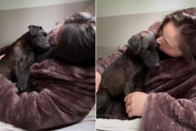 Rescue Pup Climbs Into Mom’s Arms Like She’s Finally Found the Home She Always Deserved