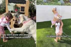 Golden Retrievers Teach Toddler More Life Lessons Than Humans Ever Could