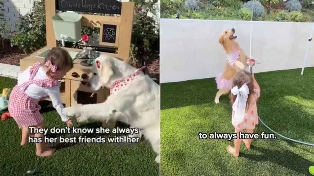 Golden Retrievers Teach Toddler More Life Lessons Than Humans Ever Could
