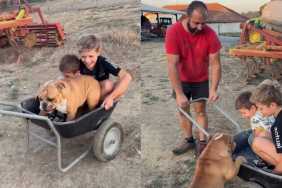 Dog Hops Into a Cart With His Buddies for a Sweet Little Ride While Dad Pulls Them Along