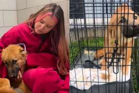 Human Finds Dog 'Dumped' in a Cage All Alone, Left To Fend for Herself