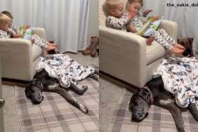 Mom Walks in on Unexpected Dog Cameo While Watching Her Two Toddlers Bond
