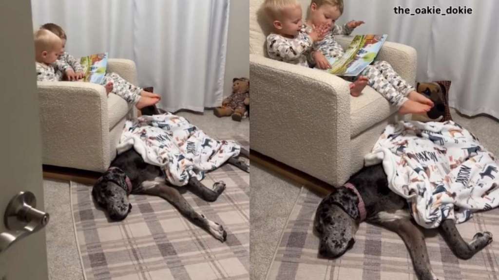 Mom Walks in on Unexpected Dog Cameo While Watching Her Two Toddlers Bond