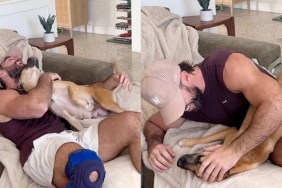 rescue dog mama foster dog dad