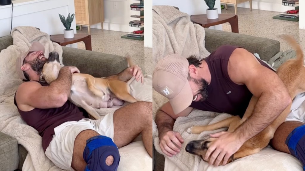 rescue dog mama foster dog dad