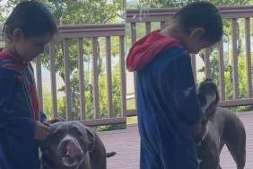 Toddler Wraps Rescue Dog in a Hug While She Looks at Him With Nothing but Love in Her Eyes