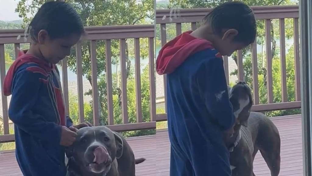 Toddler Wraps Rescue Dog in a Hug While She Looks at Him With Nothing but Love in Her Eyes