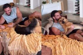 Human’s First Nap With Rescue Dog & Foster Puppy Turns Into a Full Cuddle Pile
