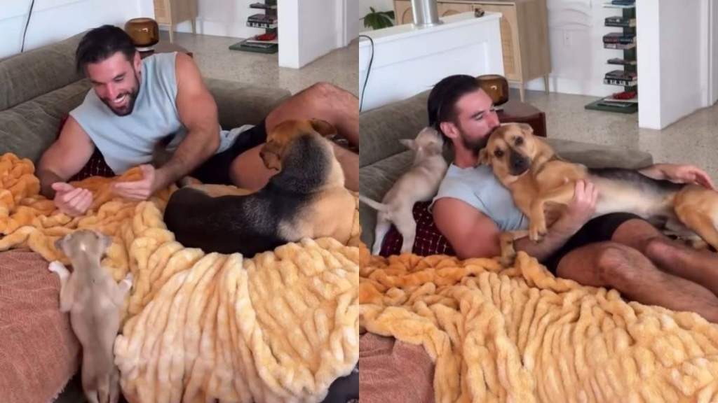 Human’s First Nap With Rescue Dog & Foster Puppy Turns Into a Full Cuddle Pile