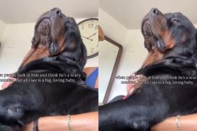 ‘Scary’ Big Dog Has a Soft Loving Side That Completely Changes How People See Him