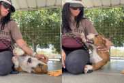 Shelter Dog Falls Into Human’s Arms in Her Kennel, but Her Reaction Shows Just What She Needed