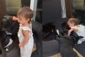 One Tiny Toddler Somehow Becomes the Fun Police for the Dogs & They Don’t Even Mind