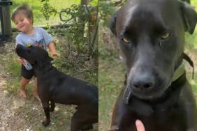 Toddler Sneaks Neighbor’s Dog Into His Home for a Playdate, Only To Get Showered With Kisses