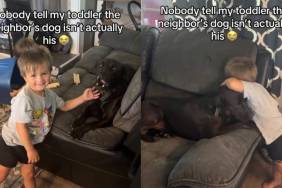 Toddler Finds a Best Friend in Neighbor’s Dog, Showering Him With Cuddles & Sweet Kisses