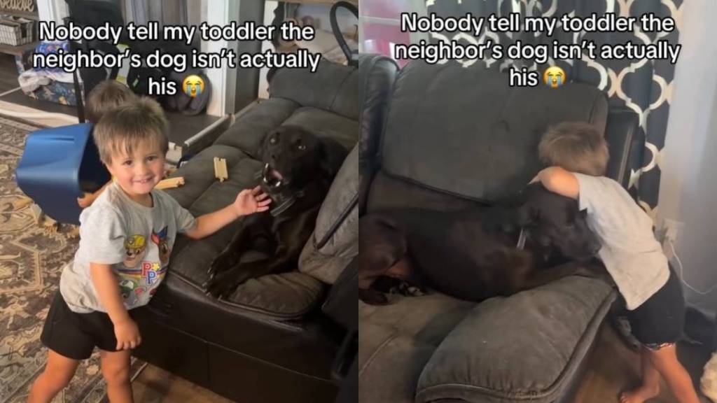 Toddler Finds a Best Friend in Neighbor’s Dog, Showering Him With Cuddles & Sweet Kisses