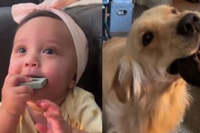 Baby Picks up Golden Retriever’s Toy Habit, but Her Tiny Growl Gives Her Away