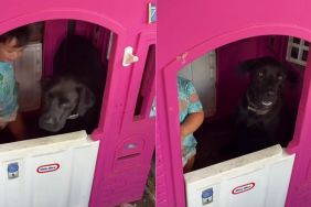 Neighbor’s Dog Does Whatever the Kids Say, So Now He’s Playing House