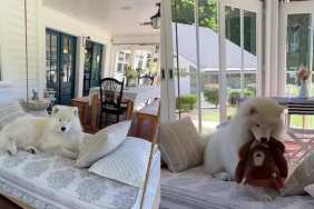 Dog Discovers the Swing Is His Happy Place, but Makes One Adorable Upgrade