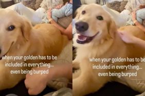 Golden Retriever Watches Baby Get Burped, Then Makes It Clear She Wants the Same Treatment