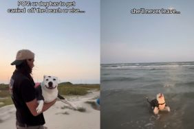 Dog’s Beach Day Ends With Dad Literally Carrying Her Away Because She Refuses To Leave