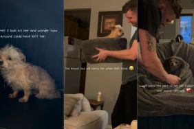 Rescue Dog Didn’t Know Why She Was Left Behind, but She’s Finally Learning What Love Feels Like