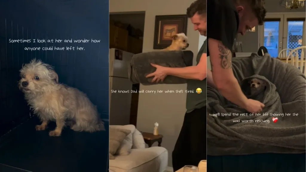 Rescue Dog Didn’t Know Why She Was Left Behind, but She’s Finally Learning What Love Feels Like