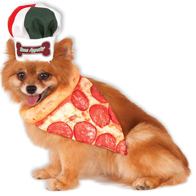 Pizza Dog 