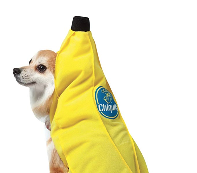 Banana Dog