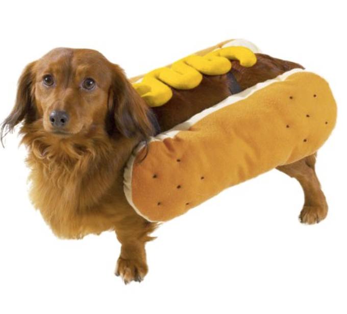 Taco Dog 