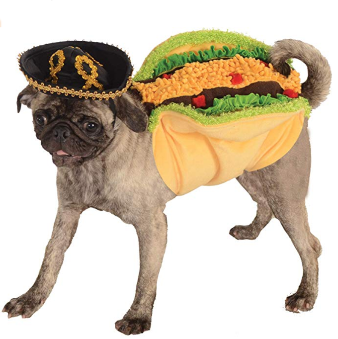 Taco Dog