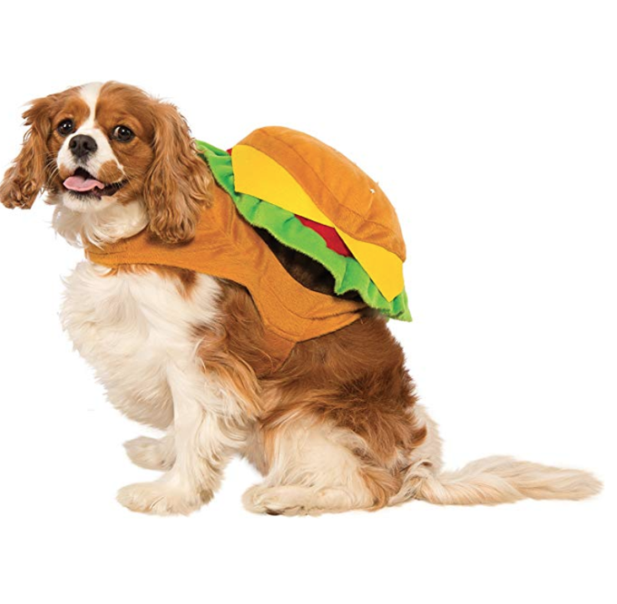 Hamburger Dog